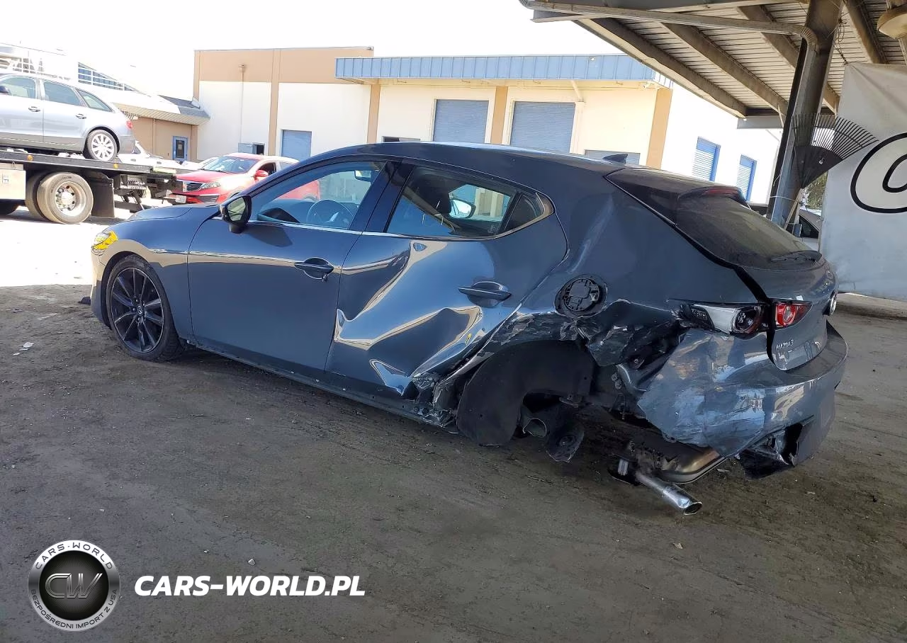 2019 Mazda 3 Premium VIN:JM1BPANMXK1132024 - 2