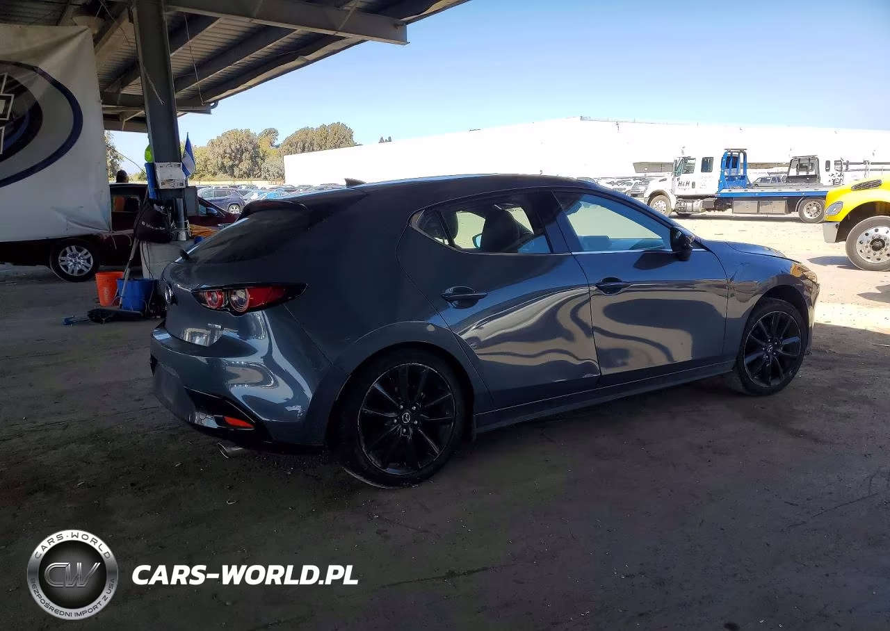 2019 Mazda 3 Premium VIN:JM1BPANMXK1132024 - 3