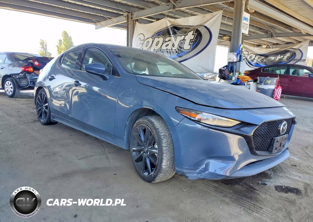 2019 Mazda 3 Premium VIN:JM1BPANMXK1132024 - 4