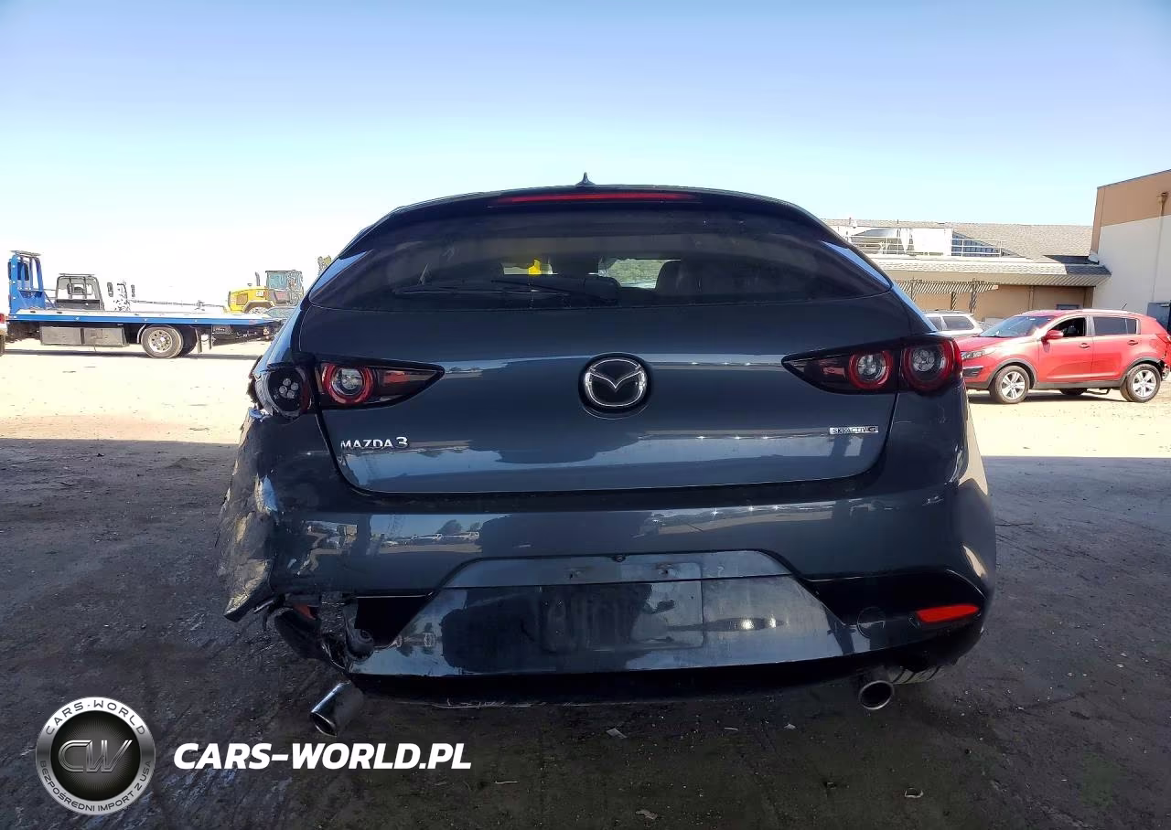 2019 Mazda 3 Premium VIN:JM1BPANMXK1132024 - 6