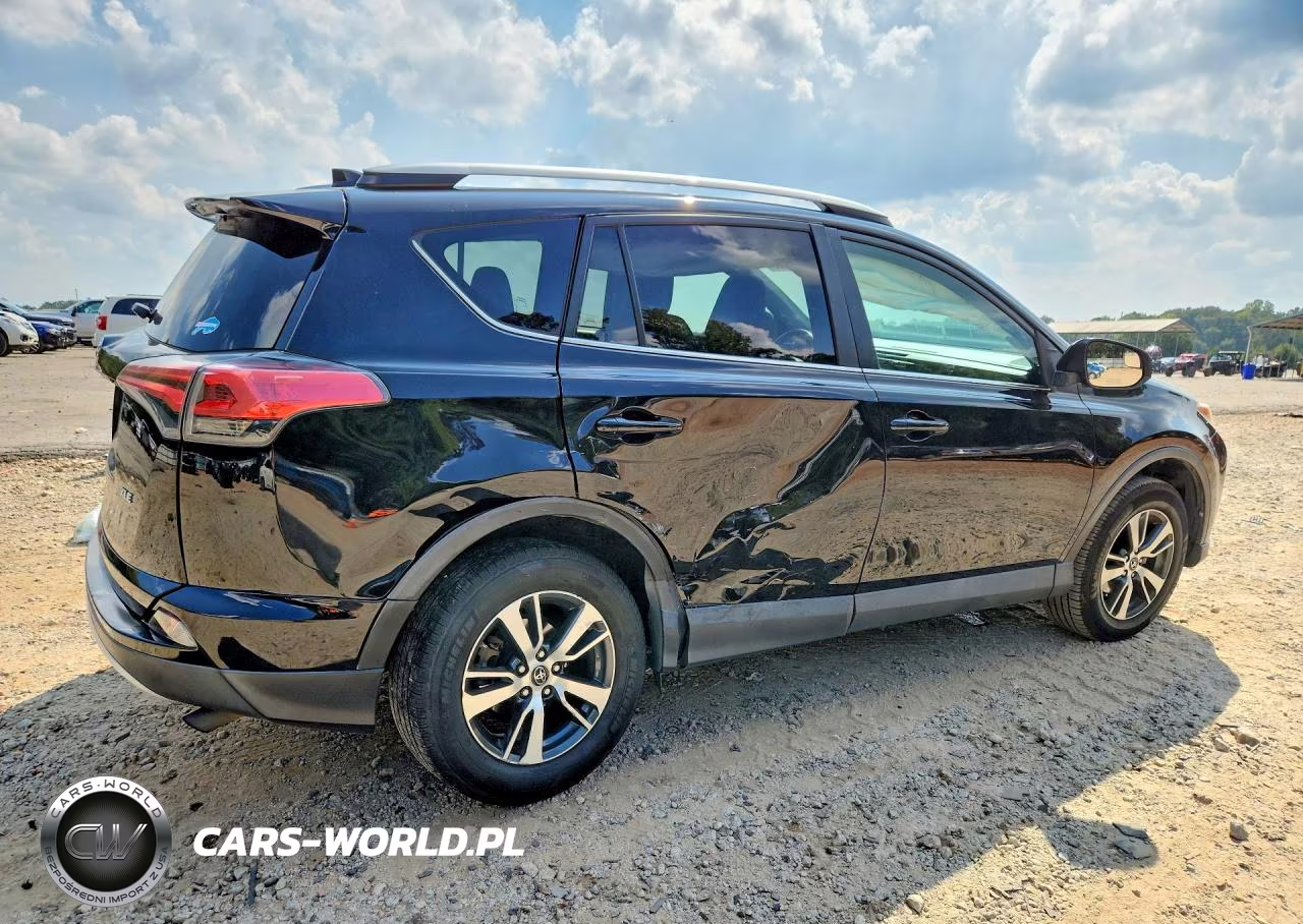 2016 Toyota Rav4 Xle VIN:2T3WFREV5GW290873 - 3