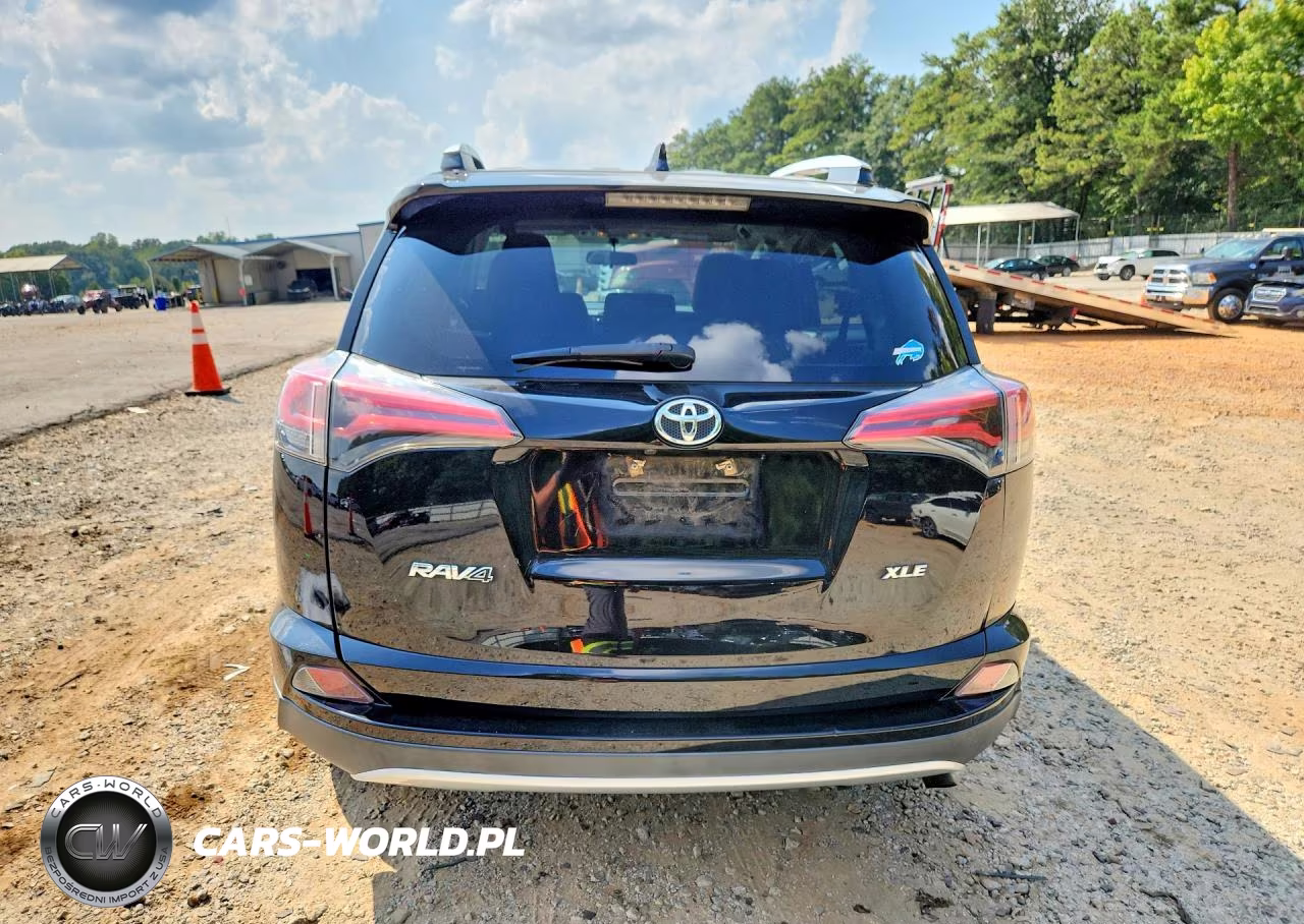 2016 Toyota Rav4 Xle VIN:2T3WFREV5GW290873 - 6