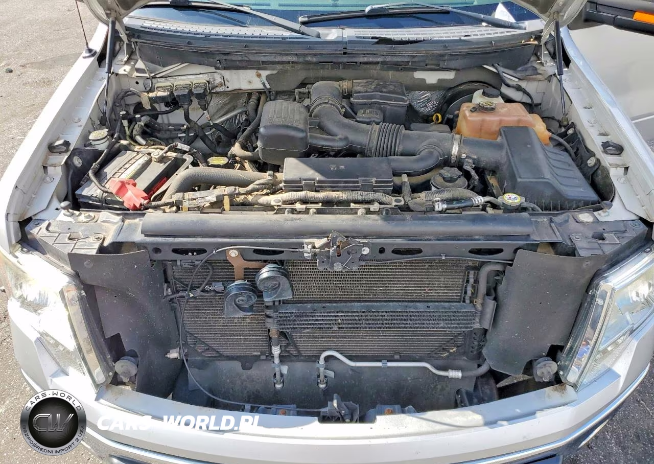 2009 Ford F150 Super Cab VIN:1FTPX14V99FB10433 - 12