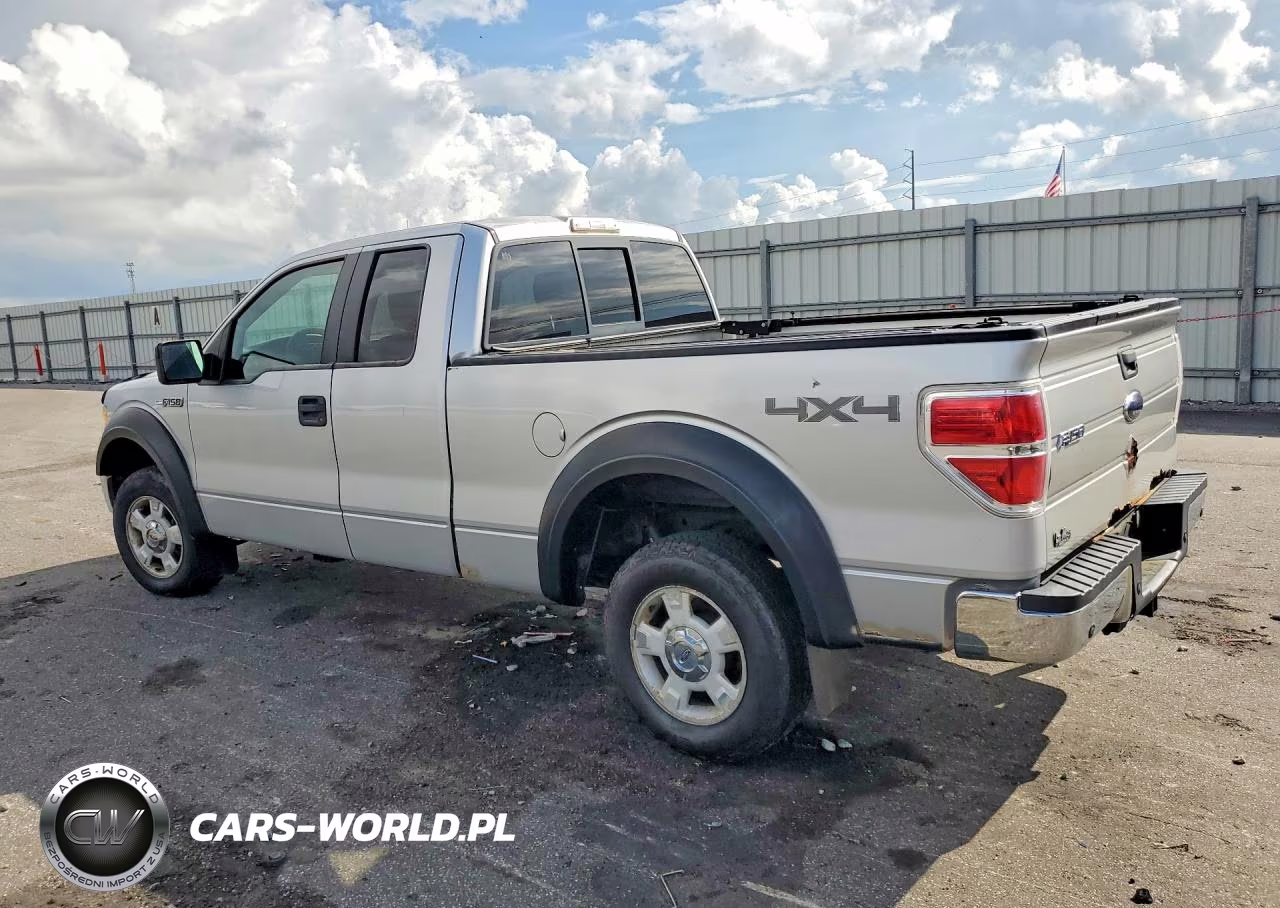 2009 Ford F150 Super Cab VIN:1FTPX14V99FB10433 - 2