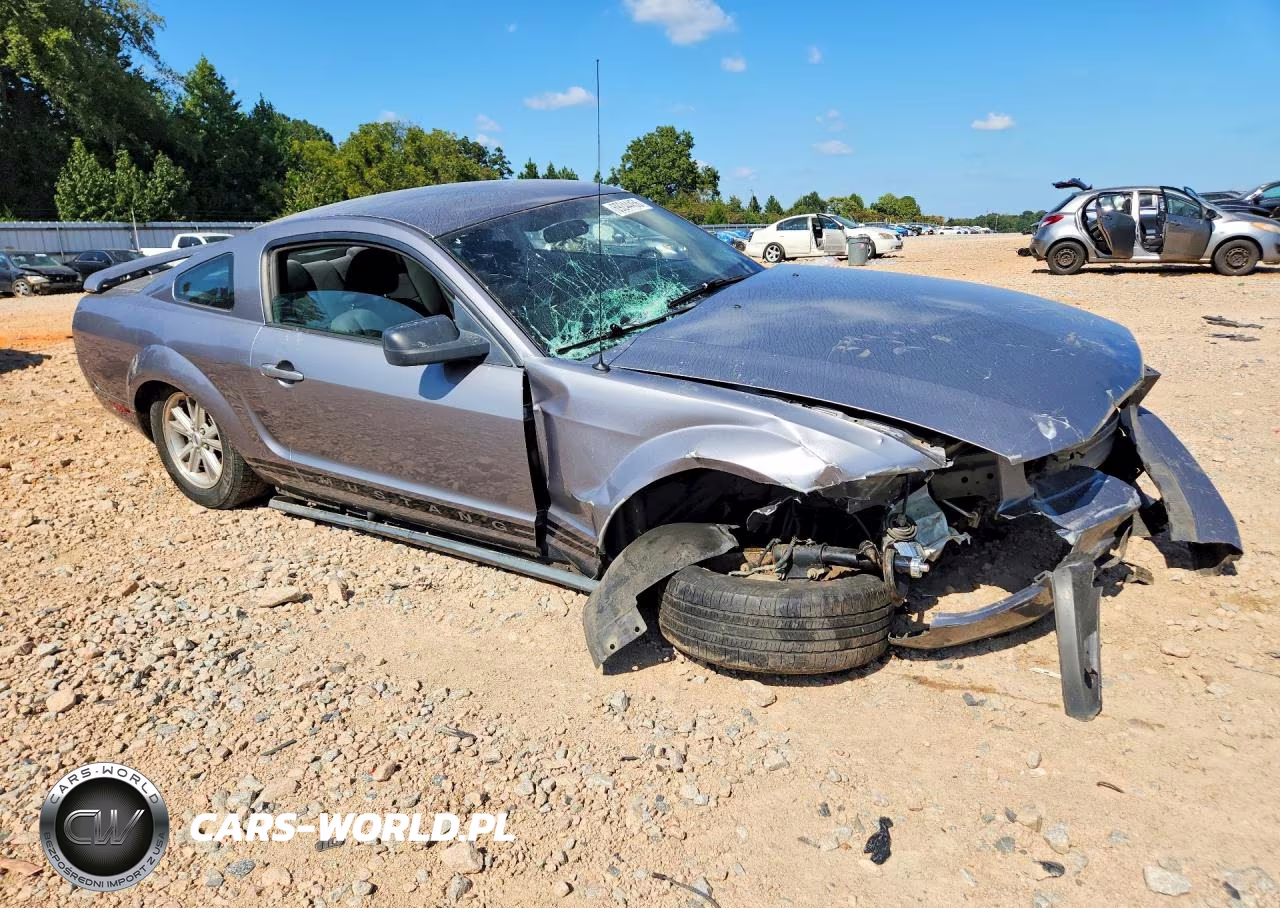 2006 Ford Mustang VIN:1ZVFT80NX65127679 - 4