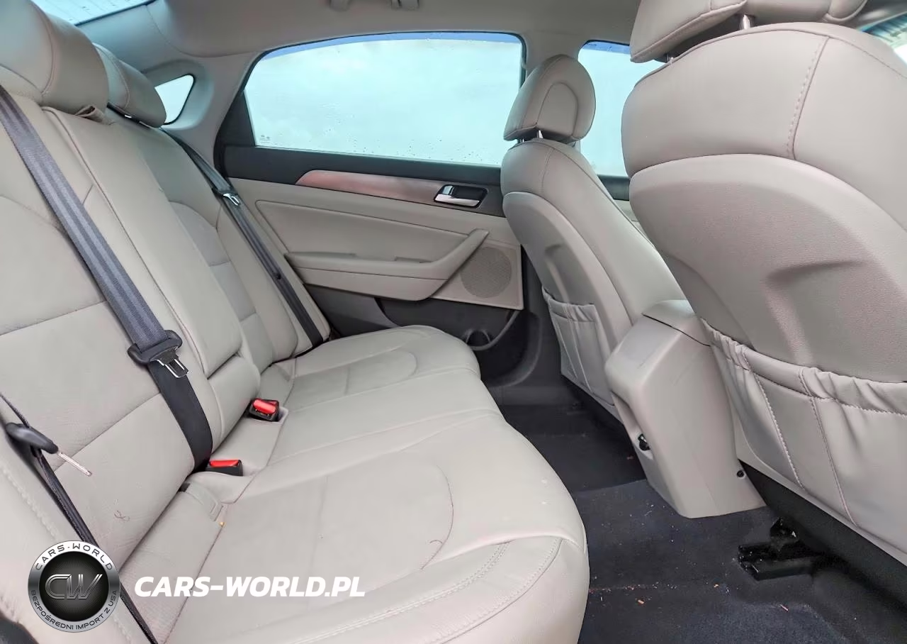 2017 Hyundai Sonata Sport VIN:5NPE34AF8HH582841 - 10