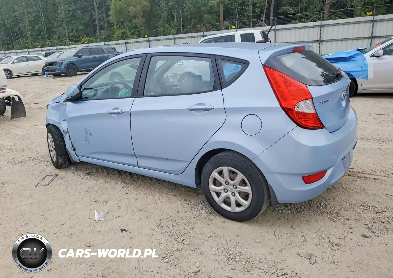 2014 Hyundai Accent Gs VIN:KMHCT5AE9EU155668 - 2