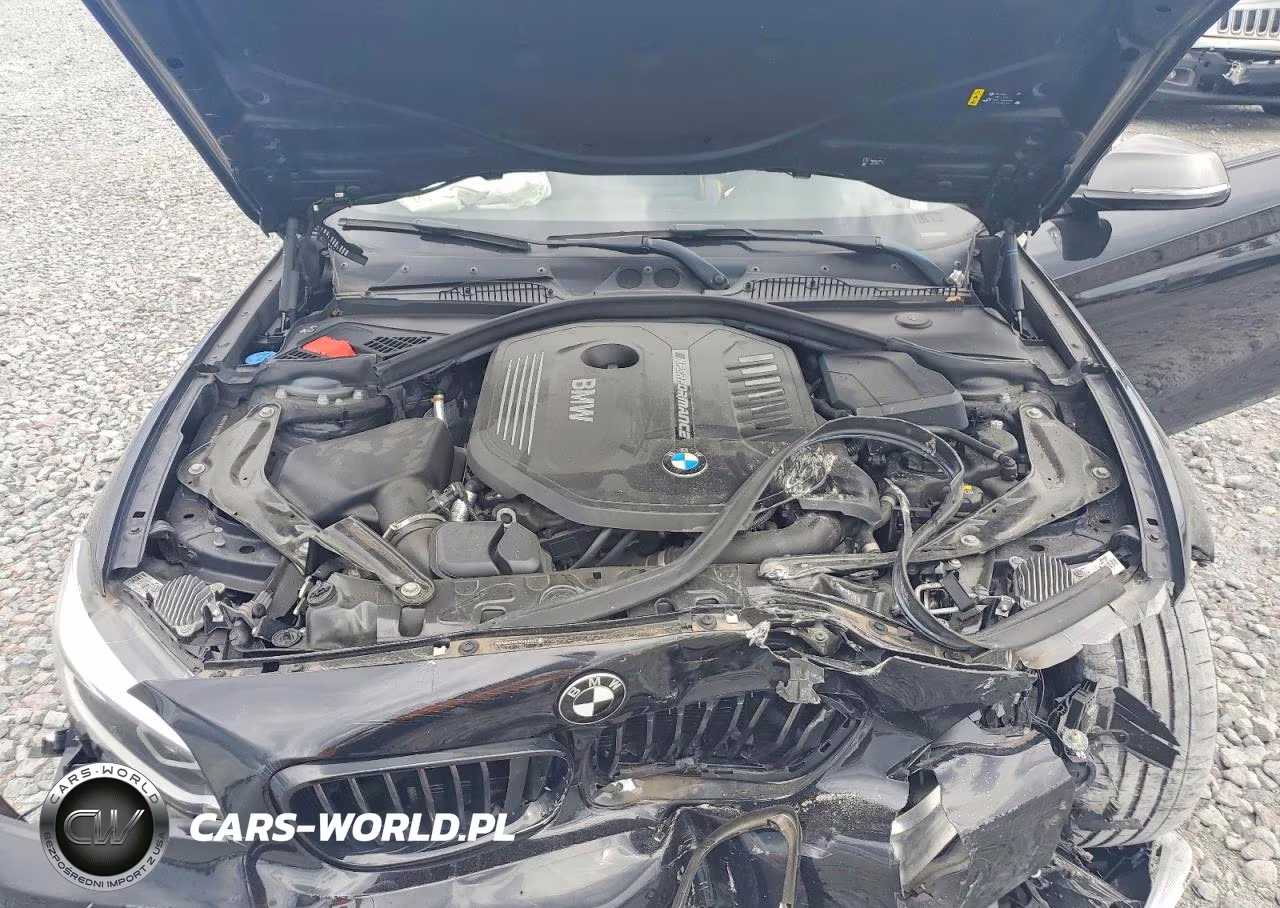2019 BMW M240Xi VIN:WBA2N3C57KVE45912 - 11