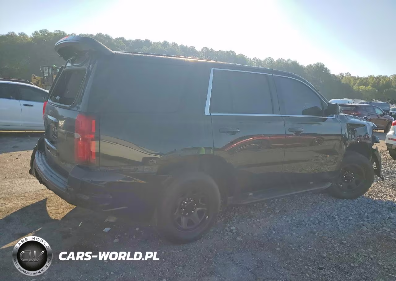 2019 Chevrolet Tahoe Police VIN:1GNLCDEC7KR244054 - 3