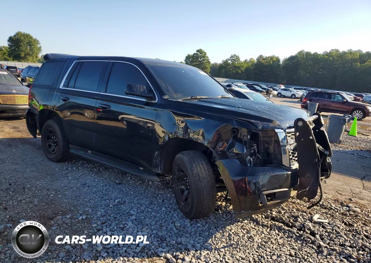 2019 Chevrolet Tahoe Police VIN:1GNLCDEC7KR244054 - 4