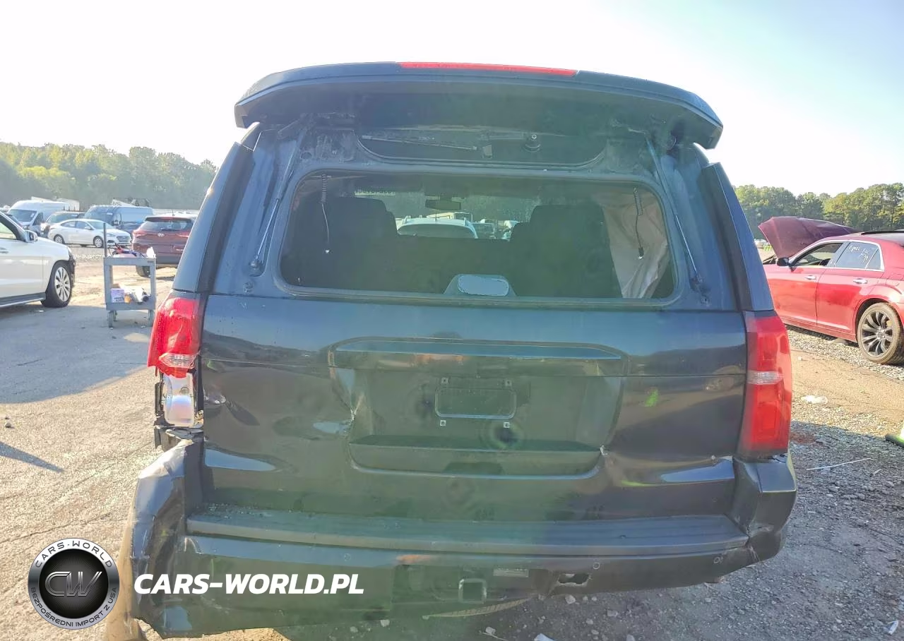 2019 Chevrolet Tahoe Police VIN:1GNLCDEC7KR244054 - 6