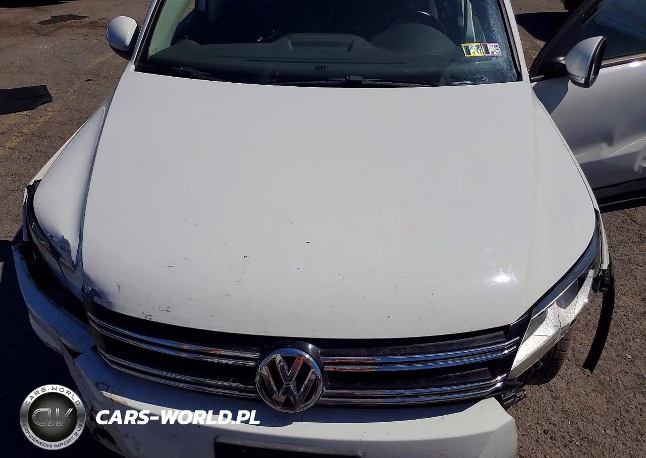 2017 Volkswagen Tiguan S VIN:WVGBV7AX7HK054602 - 12