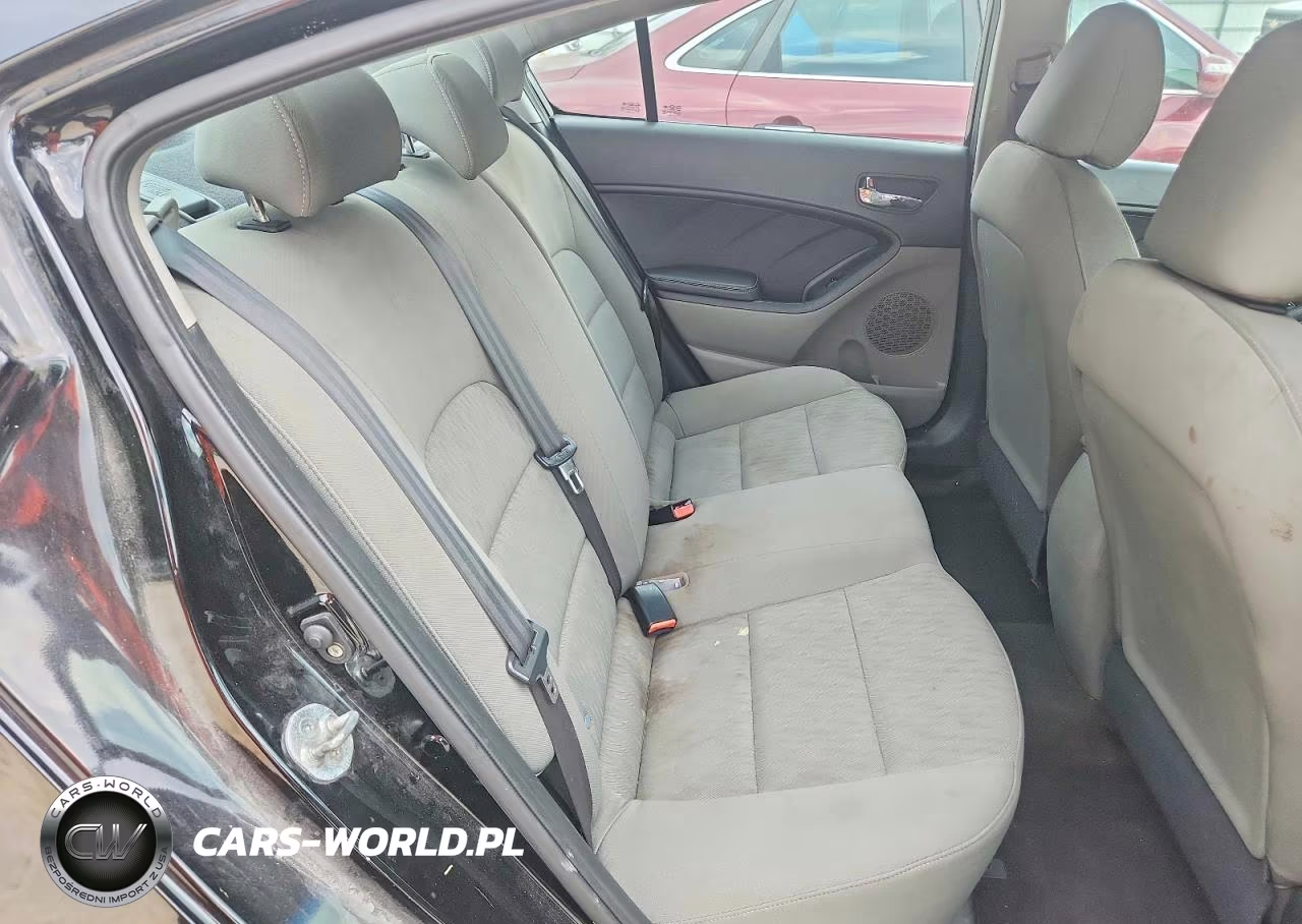 2015 Kia Forte Lx VIN:KNAFK4A68F5407233 - 10