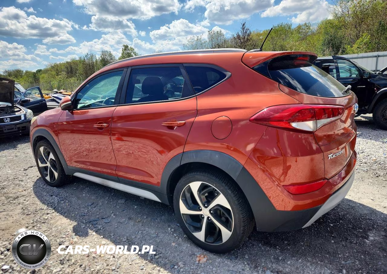 2017 Hyundai Tucson Sport VIN:KM8J33A28HU496775 - 2
