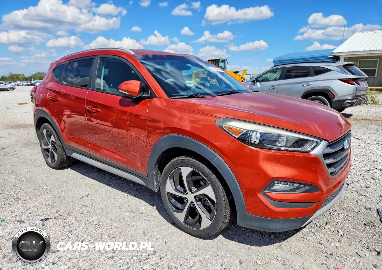 2017 Hyundai Tucson Sport VIN:KM8J33A28HU496775 - 4