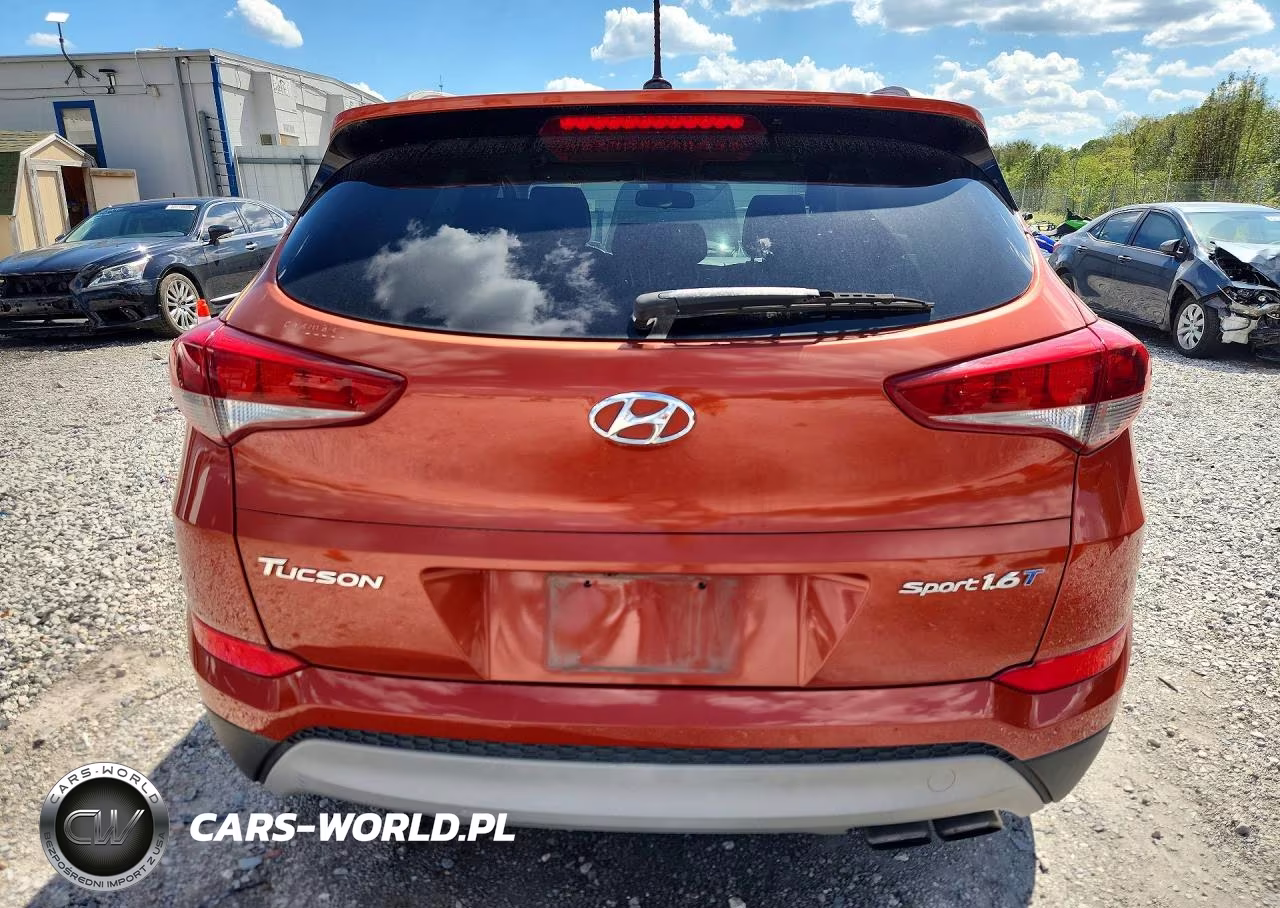 2017 Hyundai Tucson Sport VIN:KM8J33A28HU496775 - 6
