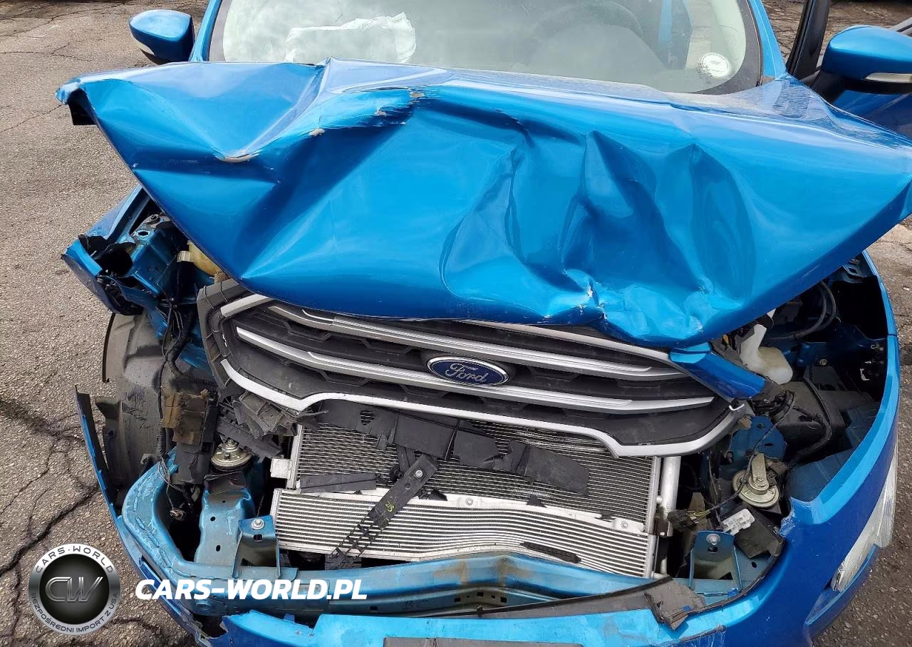 2018 Ford Ecosport Se VIN:MAJ6P1ULXJC191044 - 11