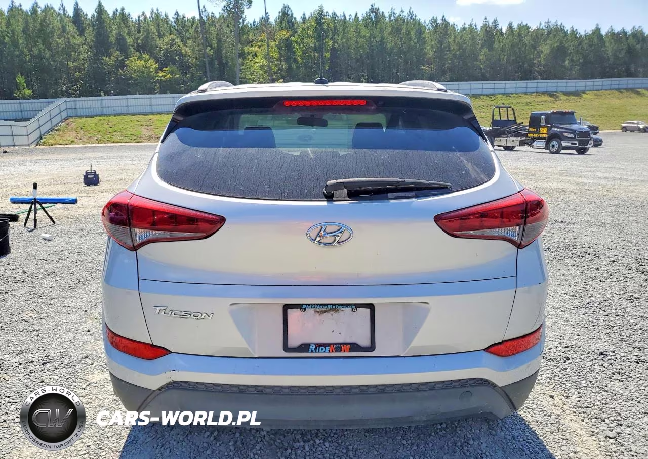 2016 Hyundai Tucson Se VIN:KM8J33A43GU190356 - 6