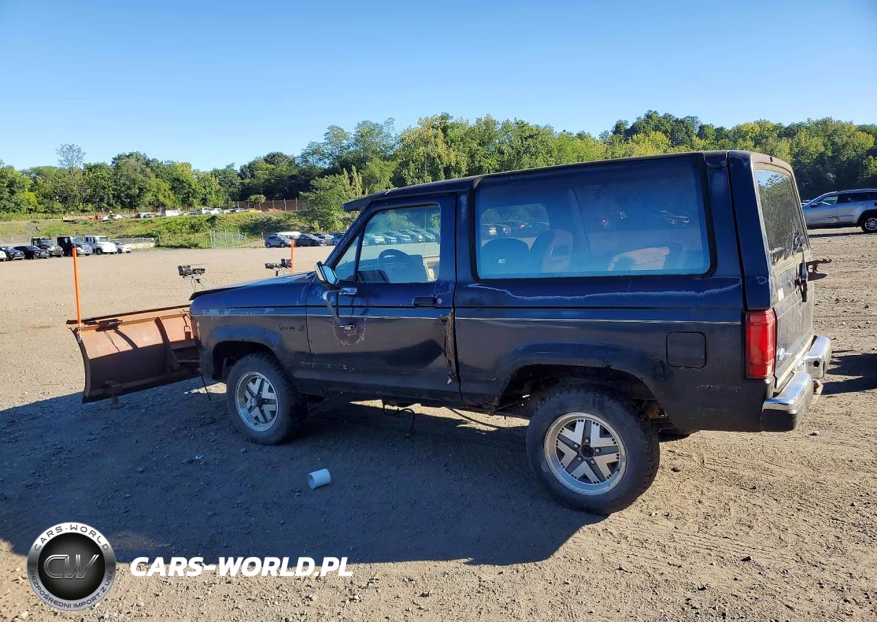1988 Ford Bronco Ii VIN:1FMCU14T3JUC83043 - 2