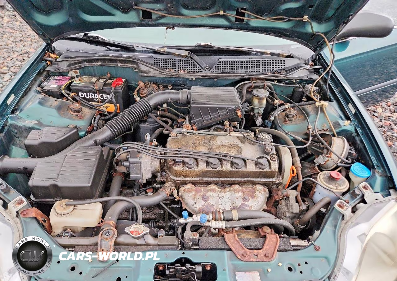 1999 Honda Civic Lx VIN:1HGEJ6671XL036316 - 11