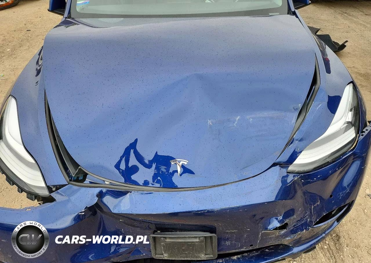 2022 Tesla Model Y VIN:7SAYGDEE3NF317583 - 11