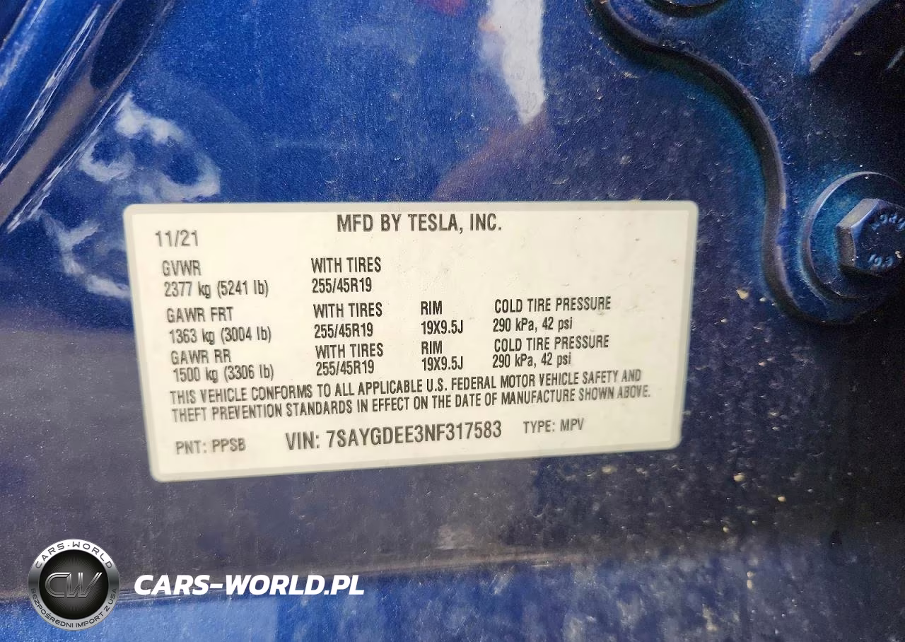 2022 Tesla Model Y VIN:7SAYGDEE3NF317583 - 12