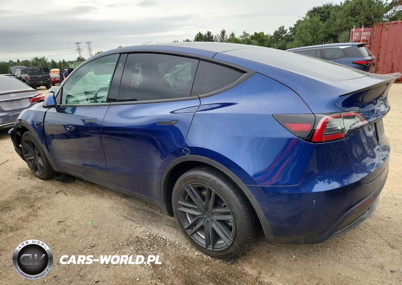 2022 Tesla Model Y VIN:7SAYGDEE3NF317583 - 2
