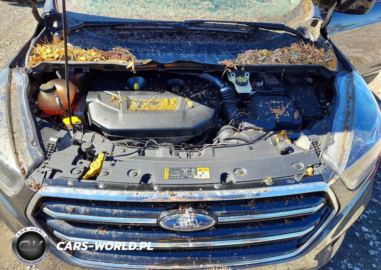 2017 Ford Escape Se VIN:1FMCU9G99HUA83096 - 12