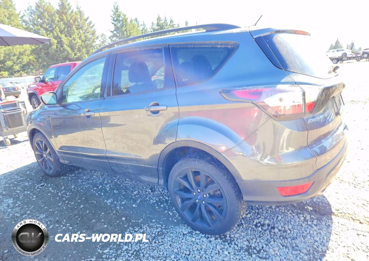 2017 Ford Escape Se VIN:1FMCU9G99HUA83096 - 2