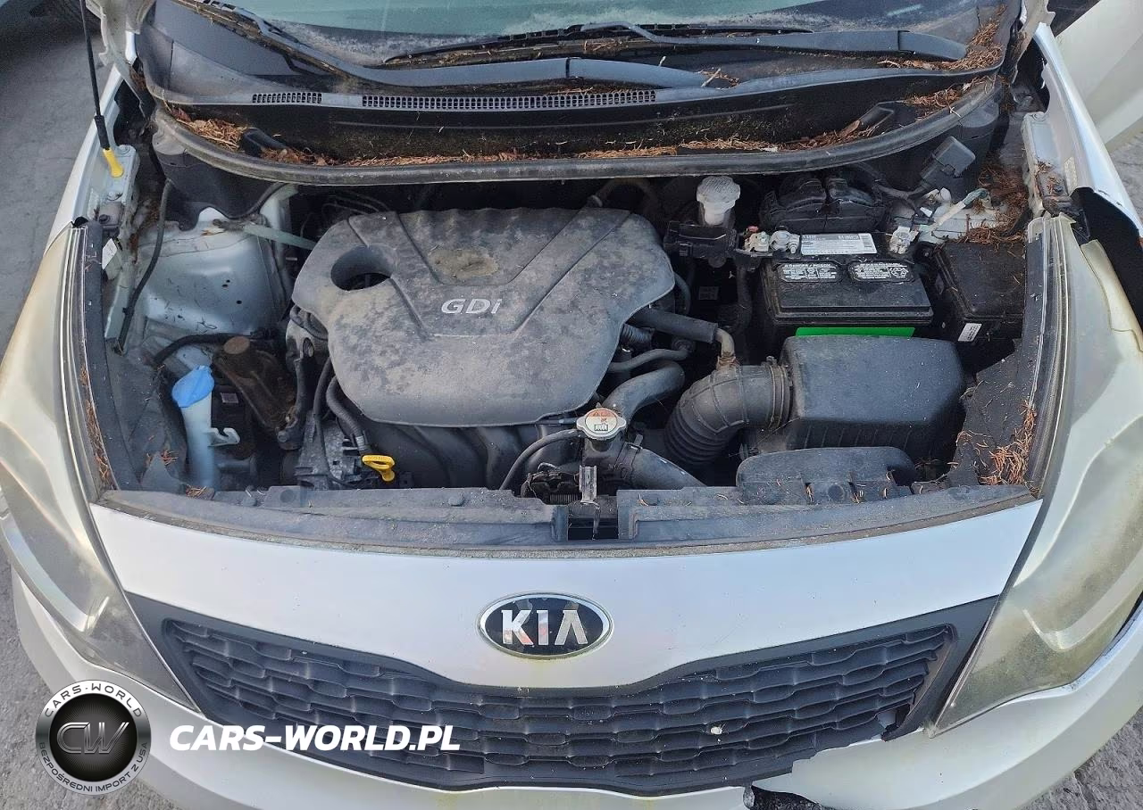 2014 Kia Rio Lx VIN:KNADM4A39E6361086 - 11