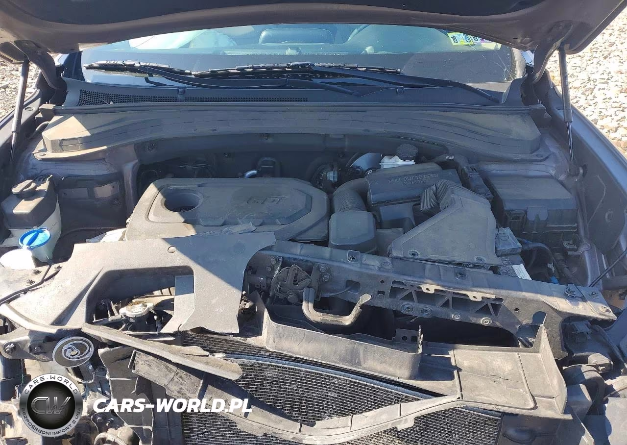 2019 Hyundai Santa Fe Sel Plus 2.4L VIN:5NMS33AD3KH086085 - 12