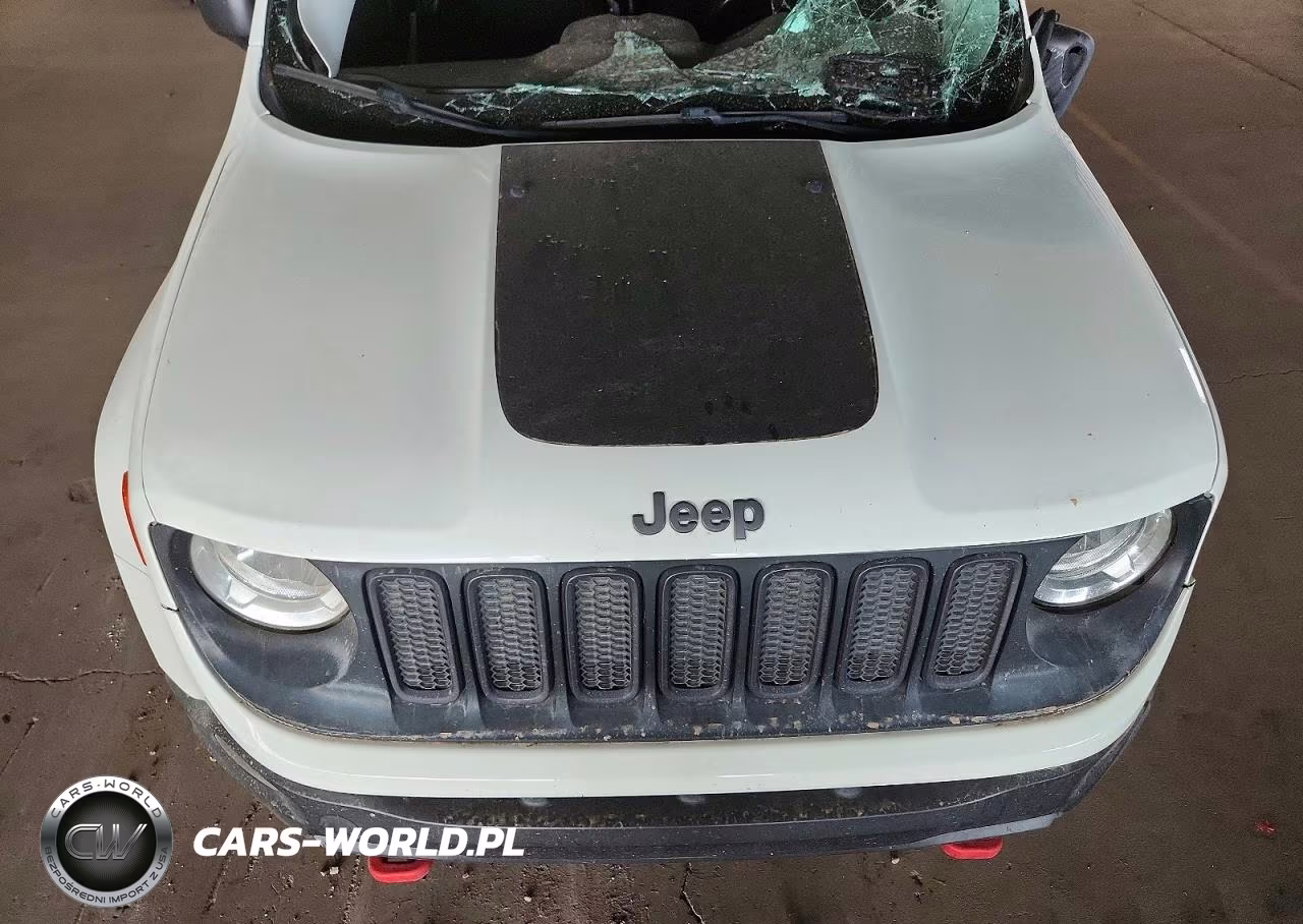 2016 Jeep Renegade Trailhawk VIN:ZACCJBCT3GPE07424 - 11