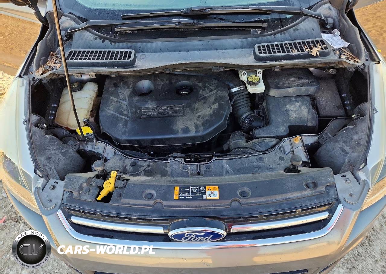 2014 Ford Escape Titanium VIN:1FMCU0J91EUA30103 - 12