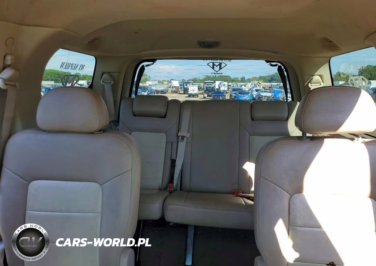 2003 Ford Expedition Eddie Bauer VIN:1FMRU17W03LB85399 - 10