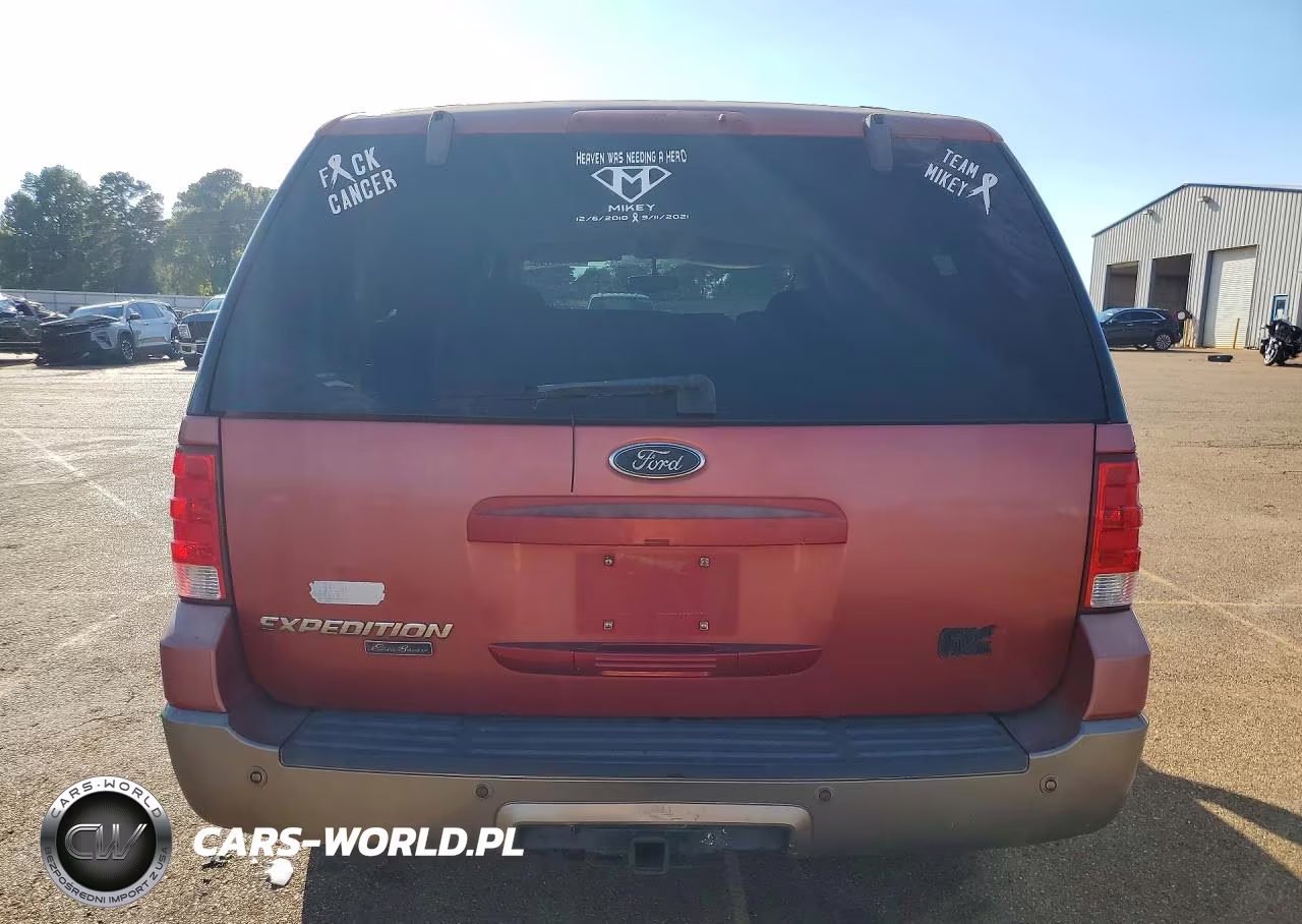 2003 Ford Expedition Eddie Bauer VIN:1FMRU17W03LB85399 - 6