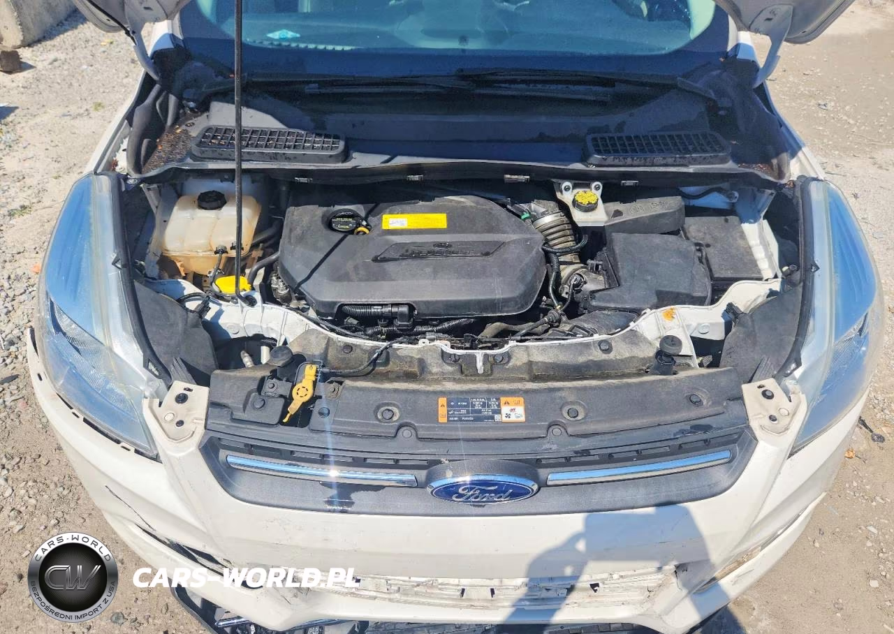 2015 Ford Escape Se VIN:1FMCU0GX2FUC58909 - 12