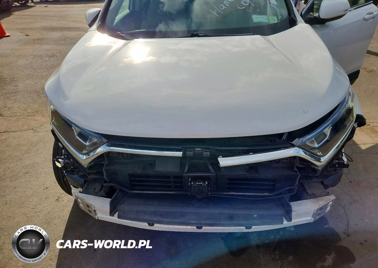 2019 Honda Cr-V Exl VIN:5J6RW2H86KL020311 - 12