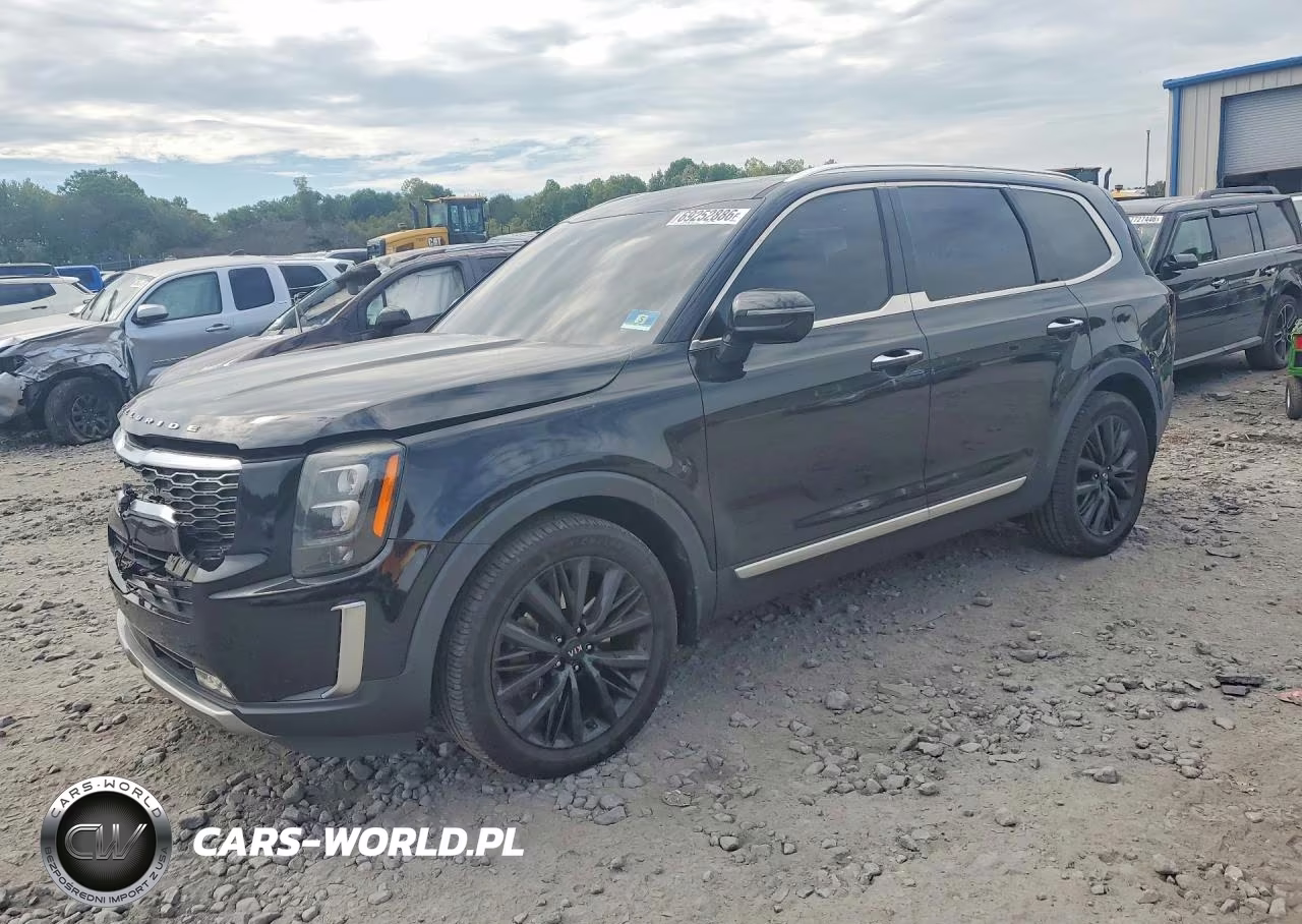 2020 Kia Telluride Sx VIN:5XYP5DHC2LG032744 - 1