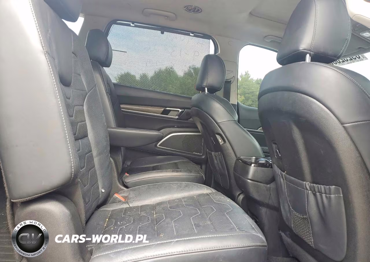 2020 Kia Telluride Sx VIN:5XYP5DHC2LG032744 - 11