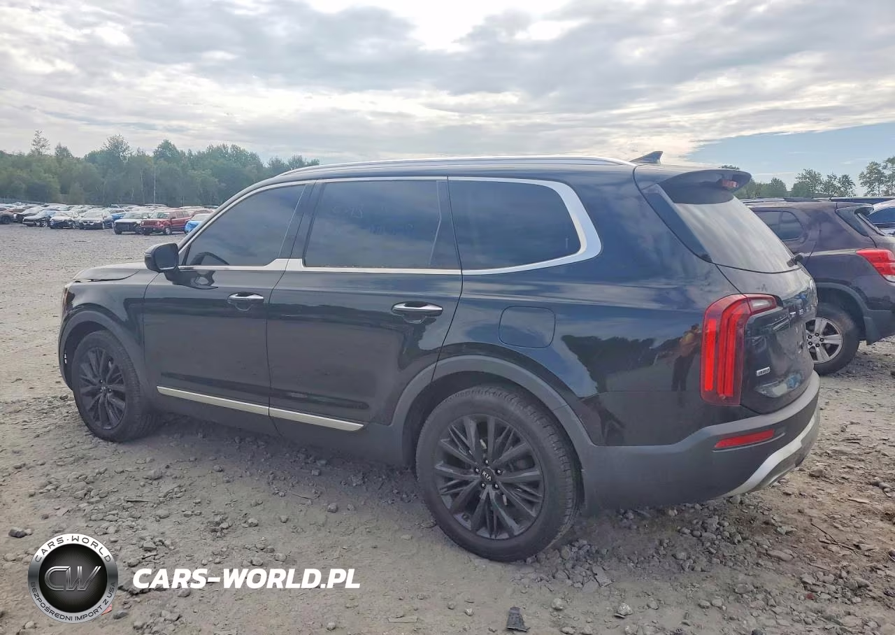 2020 Kia Telluride Sx VIN:5XYP5DHC2LG032744 - 2