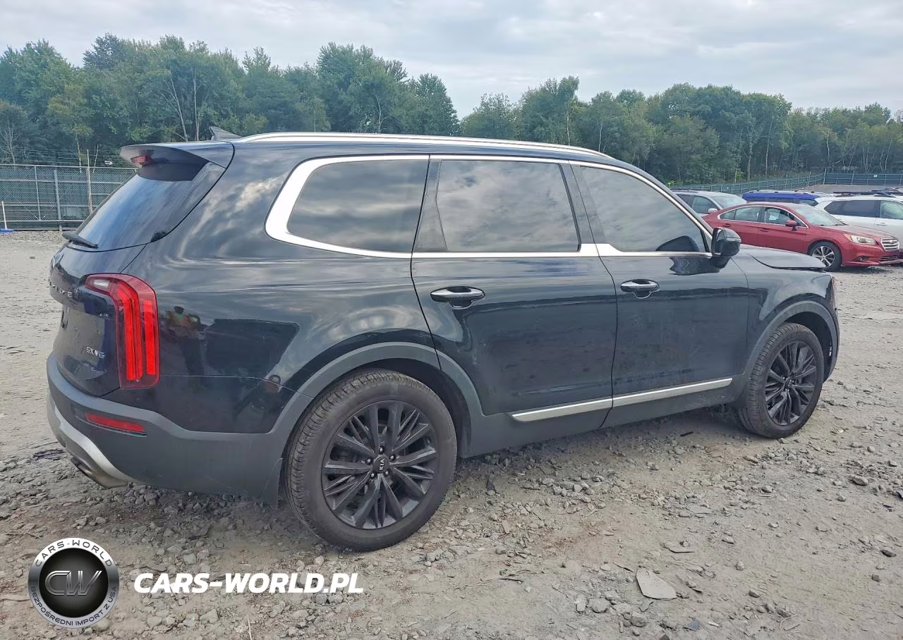 2020 Kia Telluride Sx VIN:5XYP5DHC2LG032744 - 3
