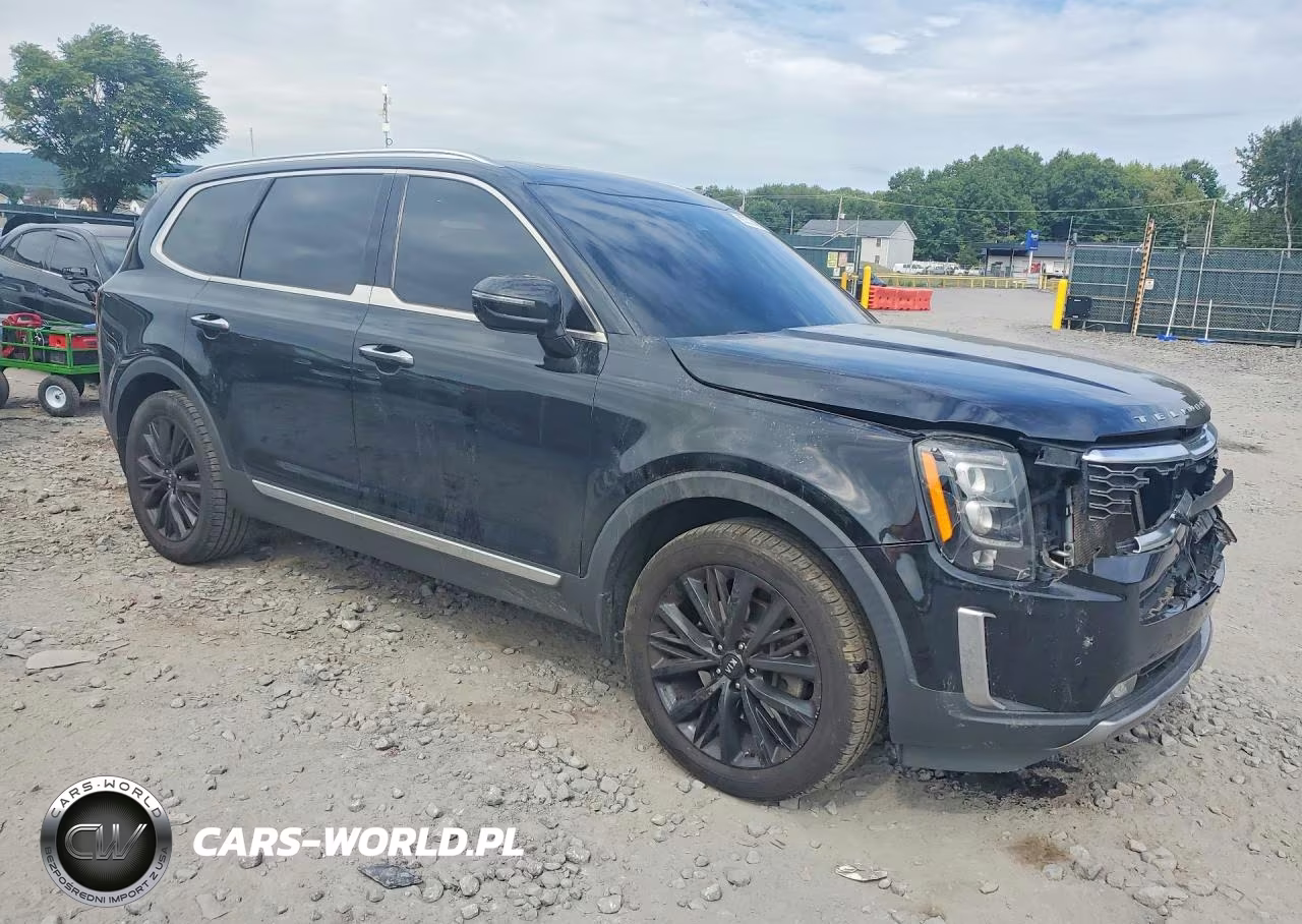 2020 Kia Telluride Sx VIN:5XYP5DHC2LG032744 - 4