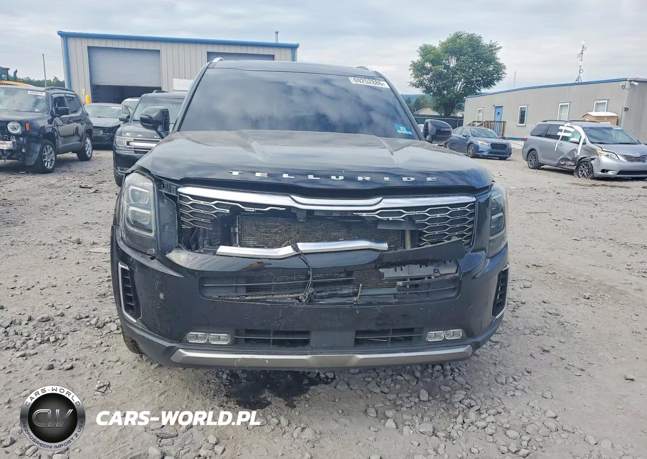 2020 Kia Telluride Sx VIN:5XYP5DHC2LG032744 - 5