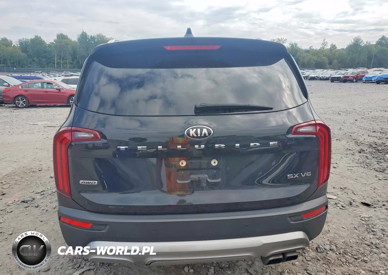 2020 Kia Telluride Sx VIN:5XYP5DHC2LG032744 - 6