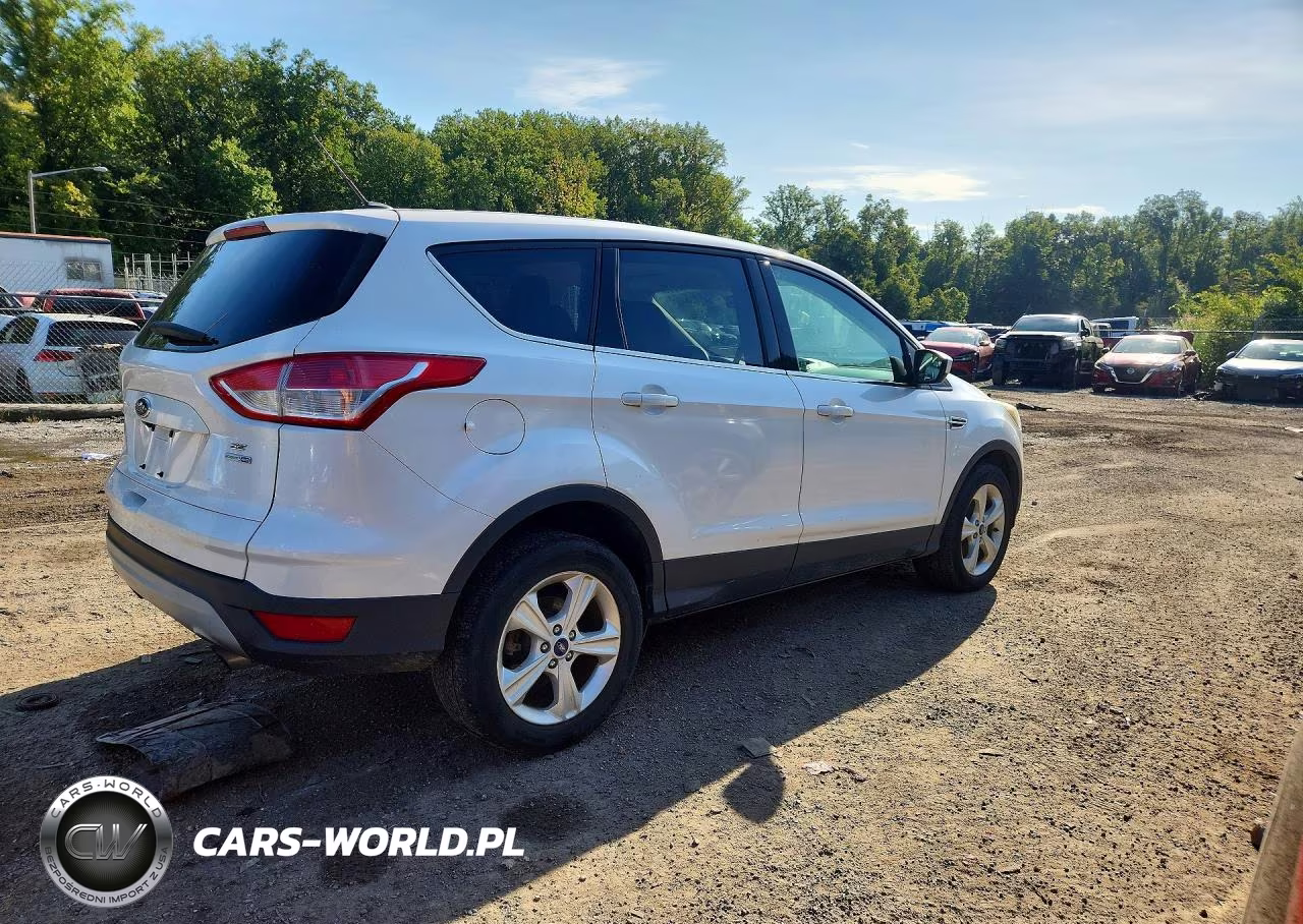 2014 Ford Escape VIN:1FMCU9GX1EUB69710 - 3