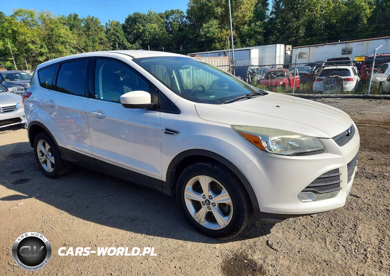 2014 Ford Escape VIN:1FMCU9GX1EUB69710 - 4