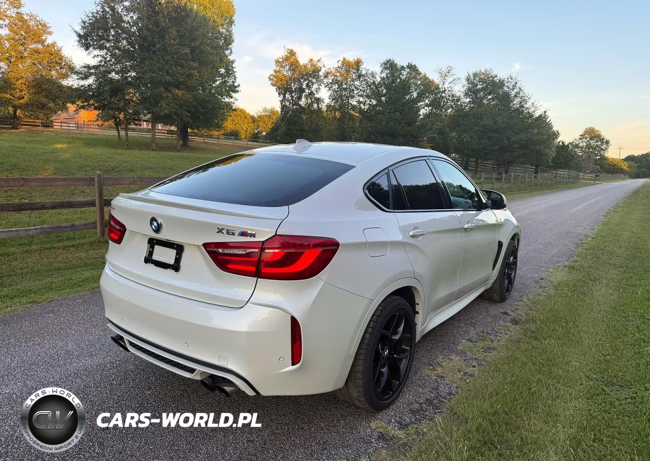 2017 BMW X6 M VIN:5YMKW8C30H0U72441 - 4