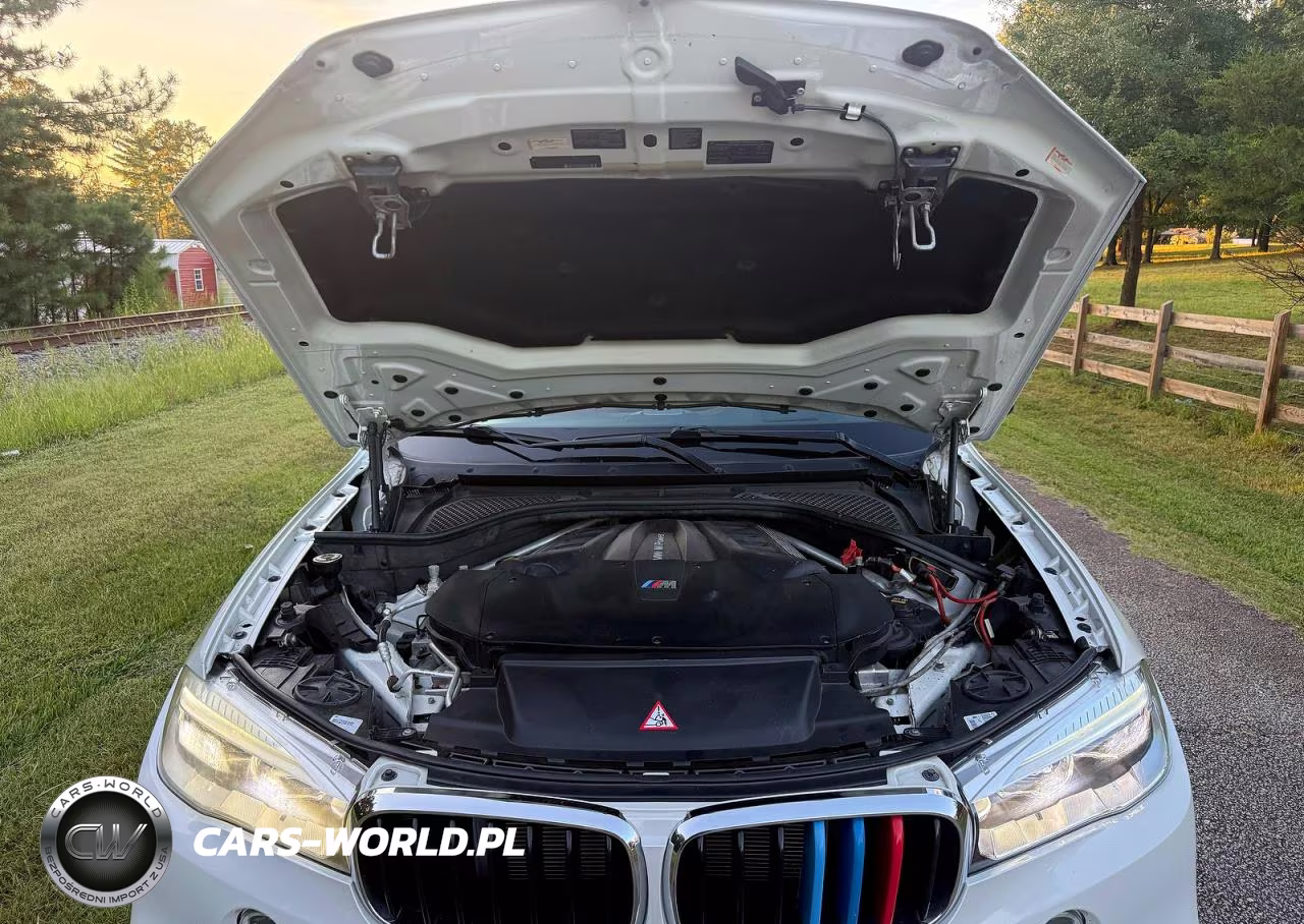2017 BMW X6 M VIN:5YMKW8C30H0U72441 - 7