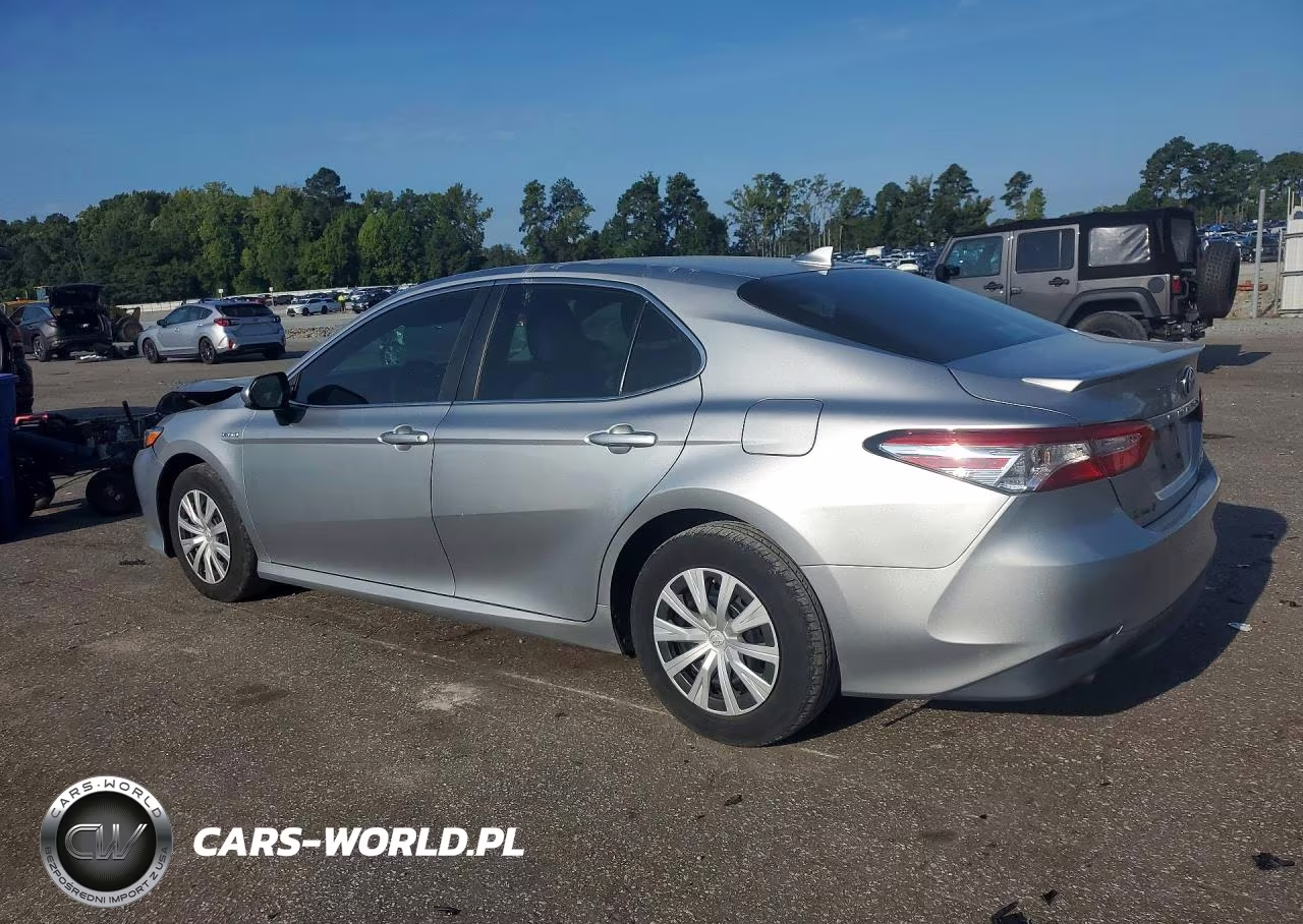 2019 Toyota Camry Le VIN:4T1B31HKXKU513355 - 2