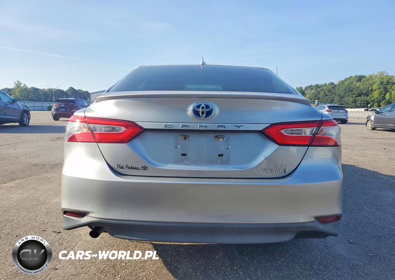 2019 Toyota Camry Le VIN:4T1B31HKXKU513355 - 6